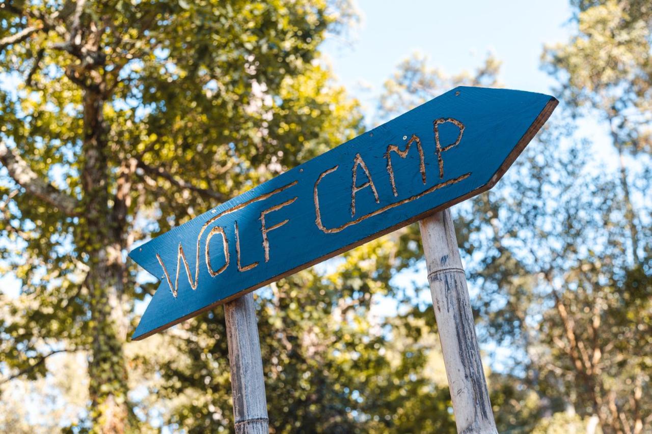 Hotel Wolfcamp Surf Moliets Exterior foto